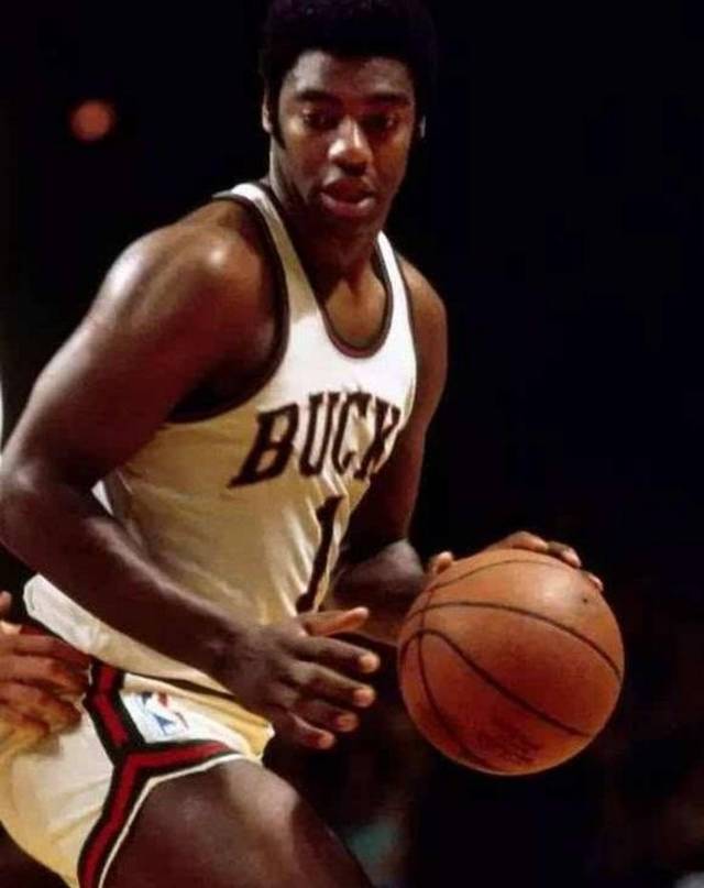 流行羽树立 流行羽树立