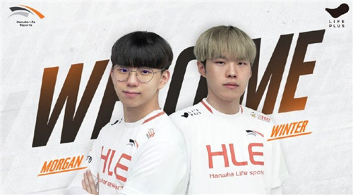 头部球队分 头部球队分